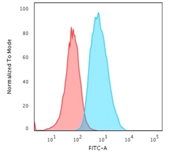 S100A4 / Metastasin / Calvasculin (Marker of Tumor Metastasis) Antibody