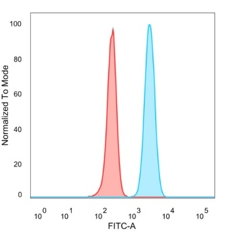 SMNDC1 Antibody