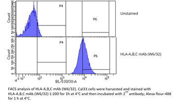 HLA-A,B,C mAb (W6/32), InVivoPure+