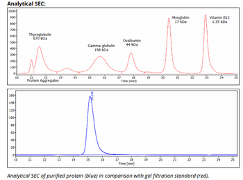 CD16/CD32 mAb (2.4G2), InVivoPure+