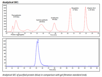CD16/CD32 mAb (2.4G2), InVivoPure