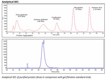 CD4 mAb (GK 1.5), InVivoPure+