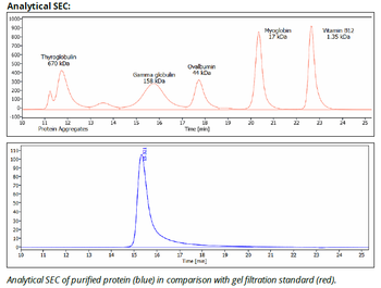 CTLA-4 mAb (9D9), InVivoPure