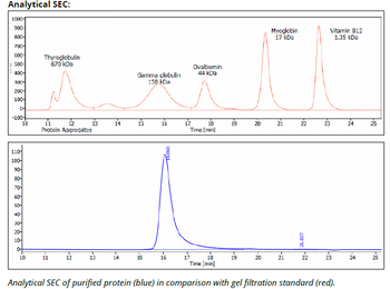 PD-L1 mAb (10F.9G2)TM, InVivoPure+