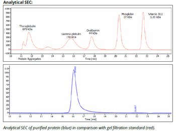 PD-L1 mAb (10F.9G2)TM, InVivoPure