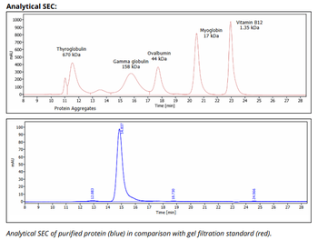 Mouse IgG2b k Isotype Control,  Antibody