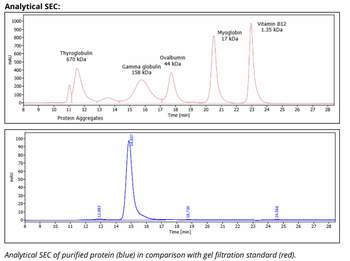 Mouse IgG2b k Isotype Control, Antibody