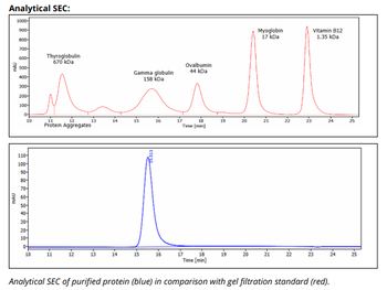 Mouse IgG2A k Isotype Control, InVivoPure+