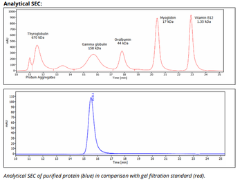 Mouse IgG2A k Isotype Control, InVivoPure