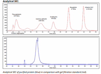 Mouse IgG2b k Isotype Control (MPC-11), InVivoPure