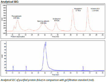 Rat IgG2b Isotype control, InVivoPure