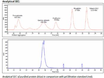 Rat IgG2a Isotype control, InVivoPure