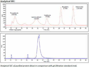 Rat IgG1a Isotype control, InVivoPure