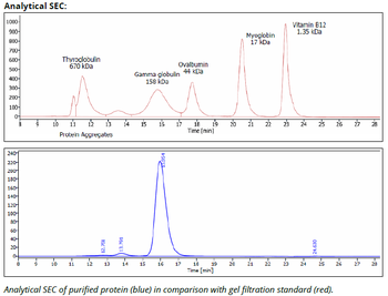 Stabilin-2 mAb (3.1), InVivoPure
