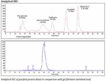 Stabilin-2 mAb (3.1), InVivoPure+