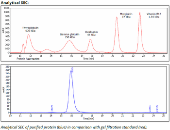 CD47 mAb (B6H12.2), InVivoPure+