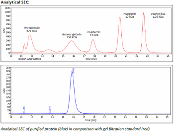 CD71 mAb (B3-25), InvivoPure