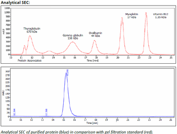 H-2kd/H-2D mAb (34-1-2S), InVivoPure