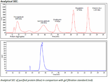 TGF-β mAb (1D11.16.8), InVivoPure