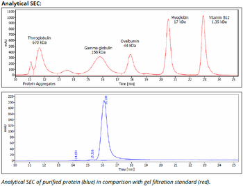 HLA-DQ mAb (SPV-L3), InVivoPure