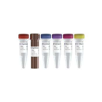 Vazyme - TUNEL BrightGreen Apoptosis Detection Kit