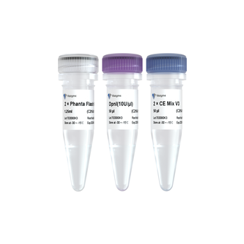 Vazyme - Mut Express Universal Fast Mutagenesis Kit