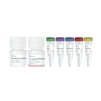 Vazyme - FlysisAmp Cells-to-CT 2-Step SYBR Green Kit
