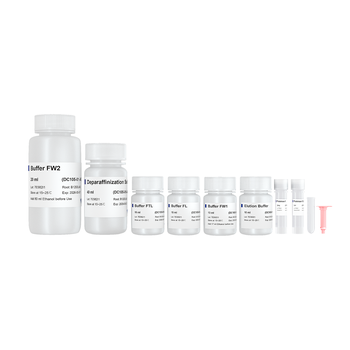 Vazyme - FastPure FFPE DNA Isolation Kit