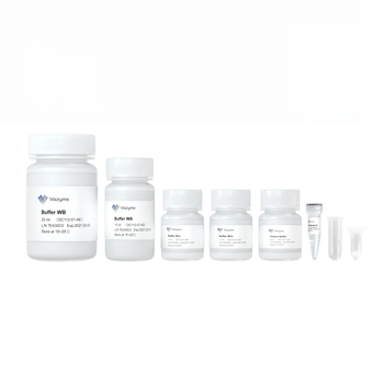Vazyme - FastPure Blood/Cell/Tissue/Bacteria DNA Isolation Mini Kit