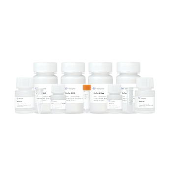 Vazyme - FastPure EndoFree Plasmid Mini Kit
