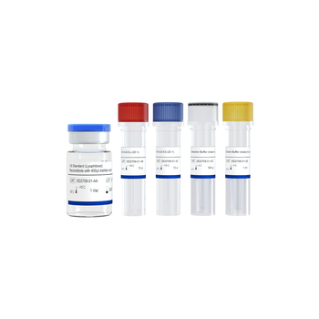 Vazyme - Add&Read Human IL8 Quantitative Detection Kit