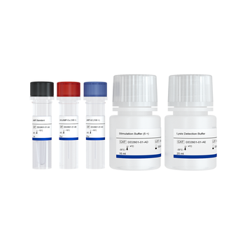 Vazyme - Add&Read cAMP Detection Kit