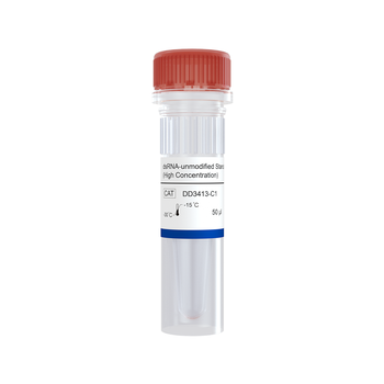 Vazyme - dsRNA-unmodified Standard (High Concentration)