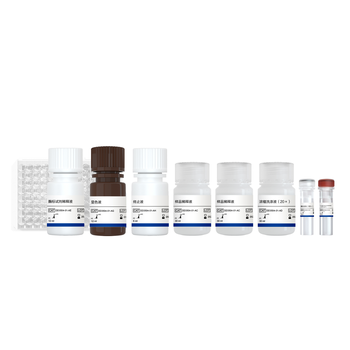 Vazyme - EasyAna T7 RNA Polymerase Quantitative Detection Kit (ELISA)