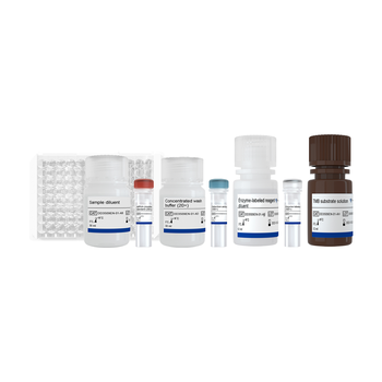Vazyme - EasyAna dsRNA (Modified) Quantitative Detection Kit (ELISA) 2.0
