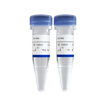 Vazyme - EGFP mRNA