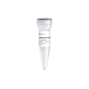 Vazyme - Proteinase K (20 mg/ml)