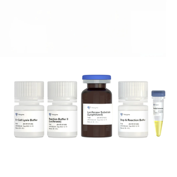 Vazyme - Dual Luciferase Reporter Assay Kit