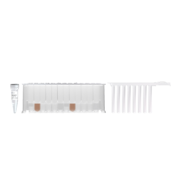 Vazyme - Magnetic Blood DNA Extraction Kit (Prepackaged)