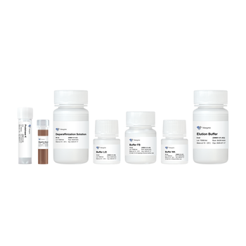 Vazyme - VAMNE MagUltra FFPE DNA Extraction Kit