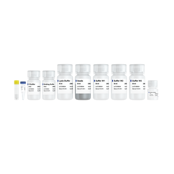 Vazyme - VAMNE Magnetic Stool/Soil DNA Extraction Kit