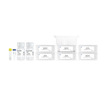 Vazyme - VAMNE Magnetic Stool/Soil DNA Extraction Kit (Prepackaged)