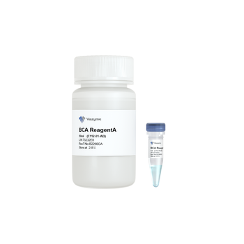 Vazyme - BCA Protein Quantification Kit