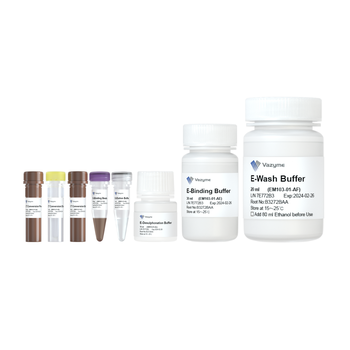 Vazyme - EpiArt Magnetic DNA Methylation Bisulfite Kit