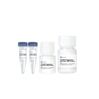 Vazyme - T7 RNA Polymerase (200 U/μl，GMP Grade)