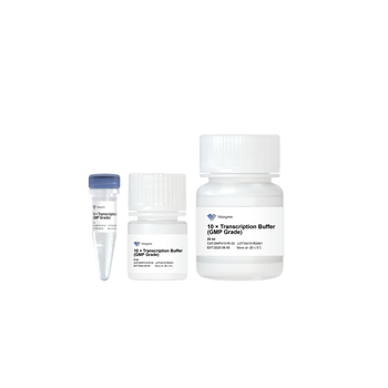 Vazyme - 10 × Transcription Buffer (GMP Grade)