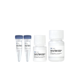 Vazyme - Murine RNase Inhibitor (40 U/μl, GMP Grade)