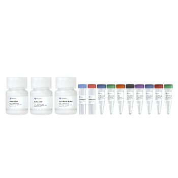 Vazyme - Hyperactive pG-MNase CUT&RUN Assay Kit for Illumina