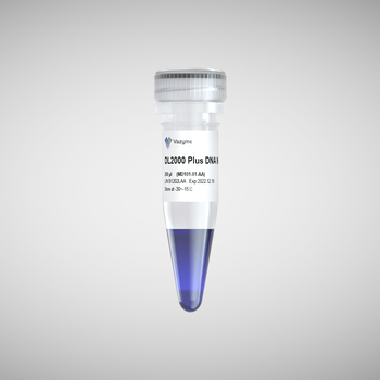 Vazyme - DL2000 Plus DNA Marker