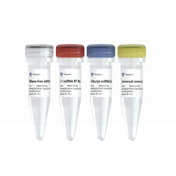 Vazyme - miRNA 1st Strand cDNA Synthesis Kit (by tailing A)